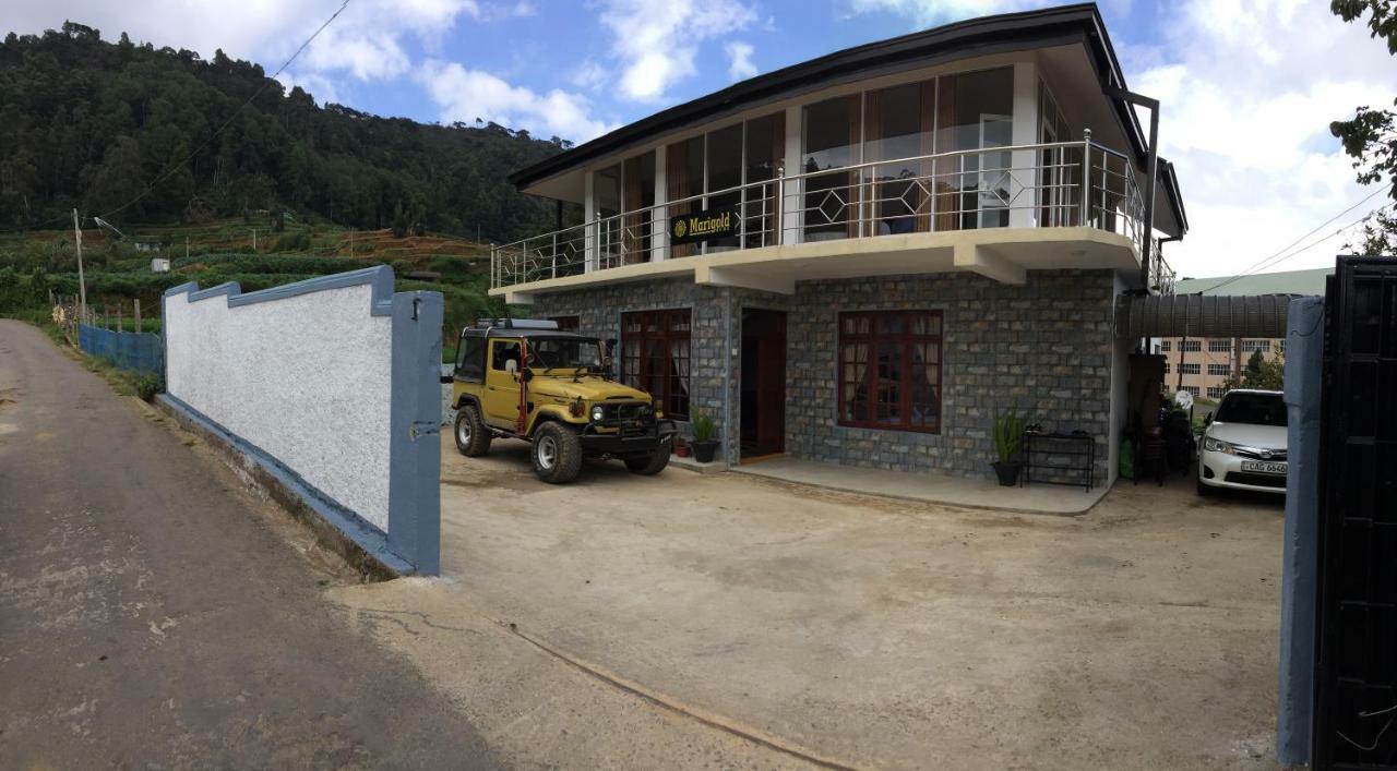 نوفارا إيلِيا Marigold Home المظهر الخارجي الصورة